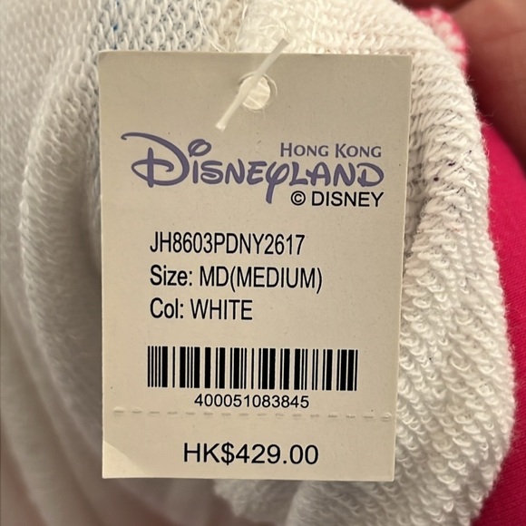 NWT Disneyland Retro Hooded Sweatshirt Women's Medium Castle Stripes Hong Kong - Picture 8 of 16